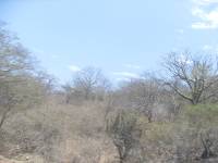 Arid semi-desert from Piura to Ecuador border